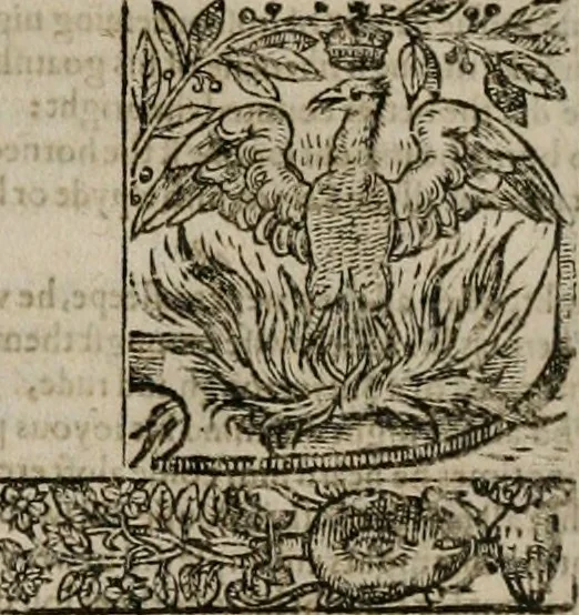 An illustration from The faerie qveen : The shepheards calendar : together with the other works of England's arch-poët, 1611, leaf 183