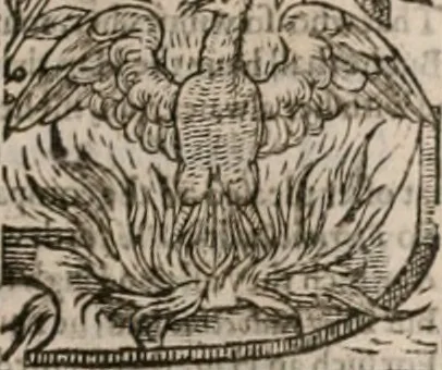 An illustration from The faerie qveen : The shepheards calendar : together with the other works of England's arch-poët, 1611, leaf 212