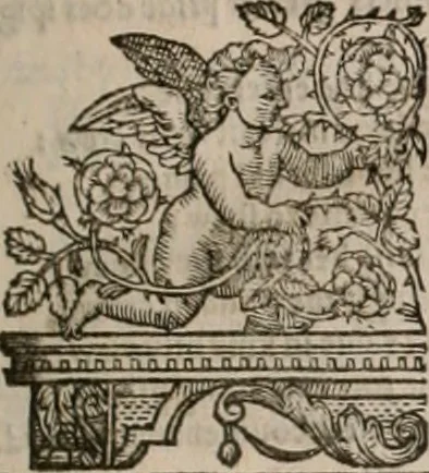 An illustration from The faerie qveen : The shepheards calendar : together with the other works of England's arch-poët, 1611, leaf 22