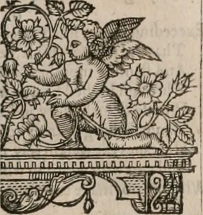 An illustration from The faerie qveen : The shepheards calendar : together with the other works of England's arch-poët, 1611, leaf 22