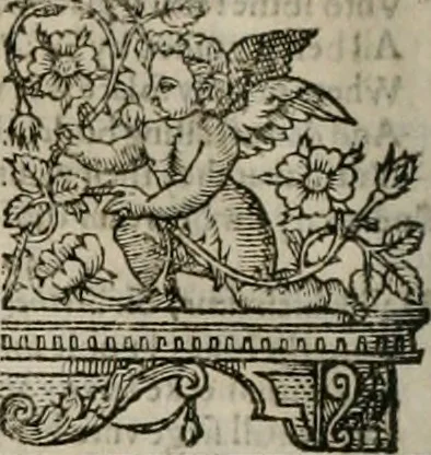 An illustration from The faerie qveen : The shepheards calendar : together with the other works of England's arch-poët, 1611, leaf 225