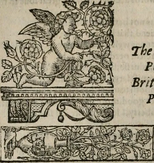 An illustration from The faerie qveen : The shepheards calendar : together with the other works of England's arch-poët, 1611, leaf 235