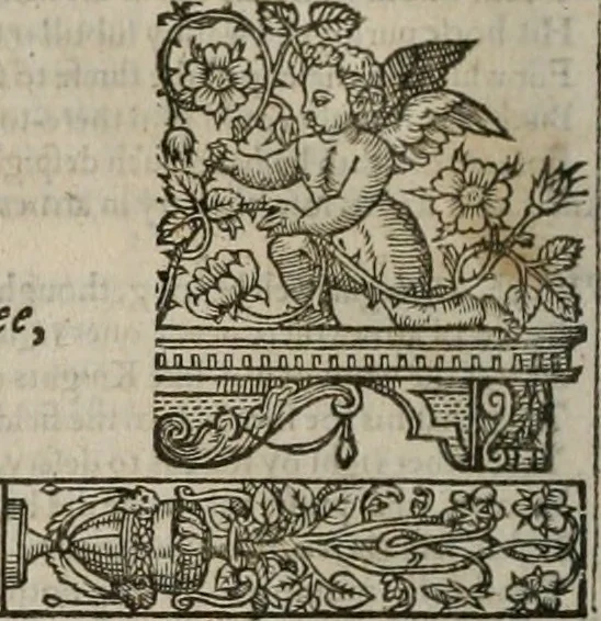 An illustration from The faerie qveen : The shepheards calendar : together with the other works of England's arch-poët, 1611, leaf 267