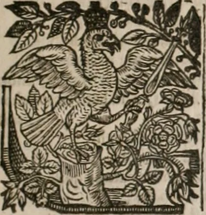An illustration from The faerie qveen : The shepheards calendar : together with the other works of England's arch-poët, 1611, leaf 36
