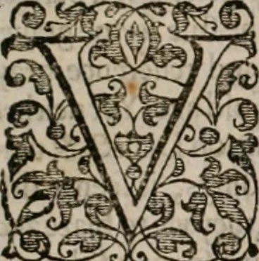 An illustration from The faerie qveen : The shepheards calendar : together with the other works of England's arch-poët, 1611, leaf 376