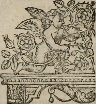 An illustration from The faerie qveen : The shepheards calendar : together with the other works of England's arch-poët, 1611, leaf 85