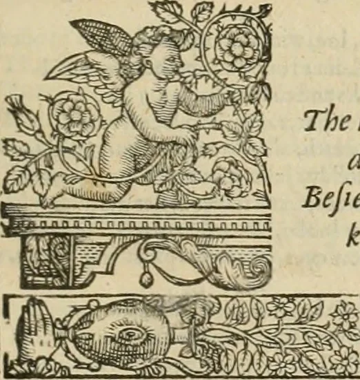 An illustration from The faerie qveen : The shepheards calendar : together with the other works of England's arch-poët, 1611, leaf 114