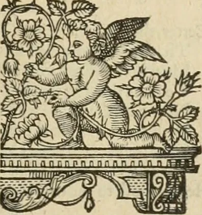 An illustration from The faerie qveen : The shepheards calendar : together with the other works of England's arch-poët, 1611, leaf 114