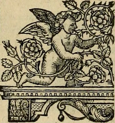 An illustration from The faerie qveen : The shepheards calendar : together with the other works of England's arch-poët, 1611, leaf 131