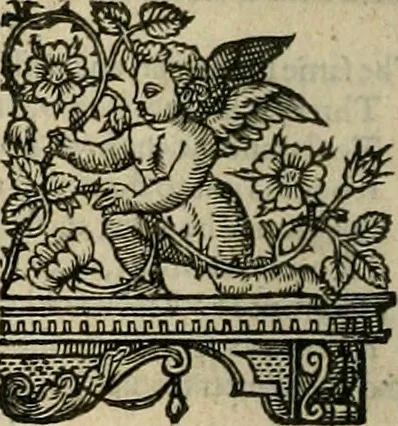 An illustration from The faerie qveen : The shepheards calendar : together with the other works of England's arch-poët, 1611, leaf 131