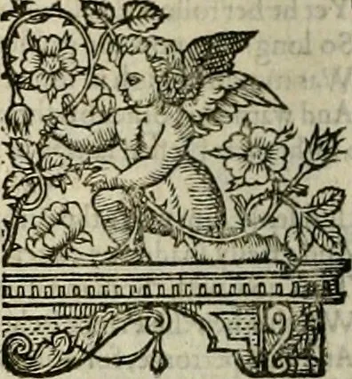 An illustration from The faerie qveen : The shepheards calendar : together with the other works of England's arch-poët, 1611, leaf 163