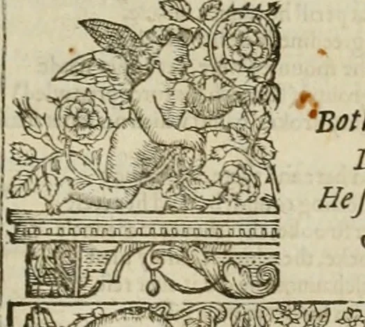 An illustration from The faerie qveen : The shepheards calendar : together with the other works of England's arch-poët, 1611, leaf 230