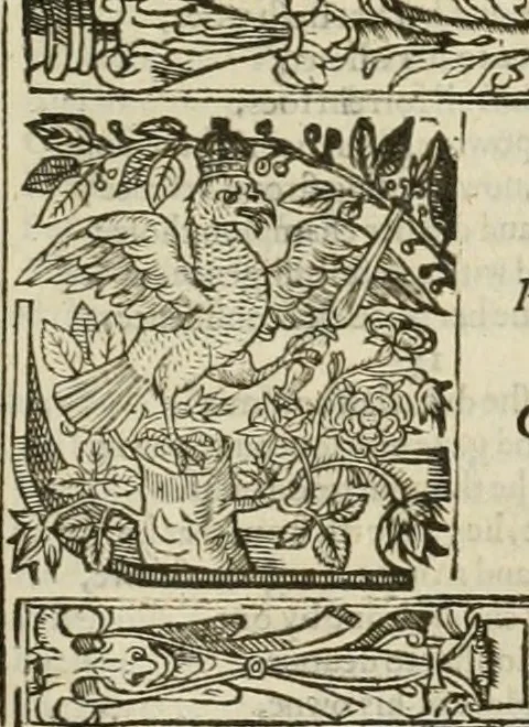 An illustration from The faerie qveen : The shepheards calendar : together with the other works of England's arch-poët, 1611, leaf 304