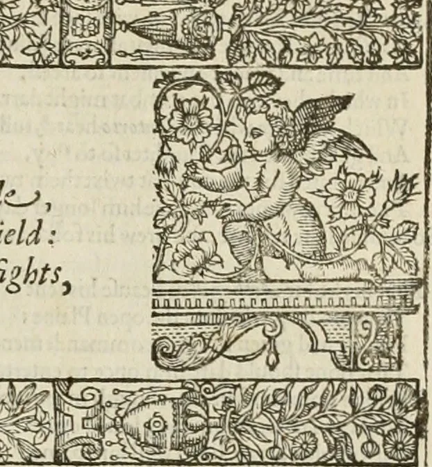 An illustration from The faerie qveen : The shepheards calendar : together with the other works of England's arch-poët, 1611, leaf 314