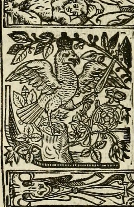An illustration from The faerie qveen : The shepheards calendar : together with the other works of England's arch-poët, 1611, leaf 323