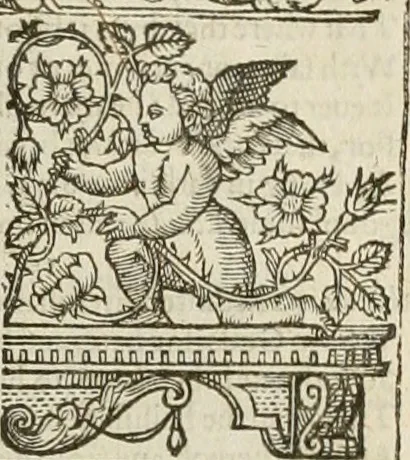 An illustration from The faerie qveen : The shepheards calendar : together with the other works of England's arch-poët, 1611, leaf 340