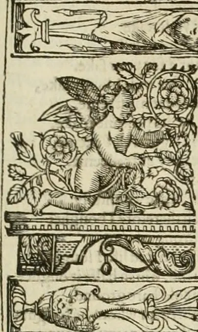An illustration from The faerie qveen : The shepheards calendar : together with the other works of England's arch-poët, 1611, leaf 344