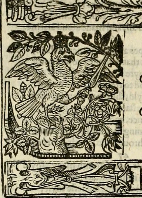 An illustration from The faerie qveen : The shepheards calendar : together with the other works of England's arch-poët, 1611, leaf 353