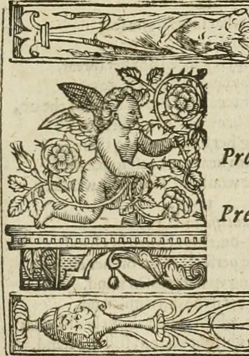 An illustration from The faerie qveen : The shepheards calendar : together with the other works of England's arch-poët, 1611, leaf 370