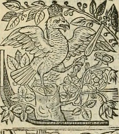 An illustration from The faerie qveen : The shepheards calendar : together with the other works of England's arch-poët, 1611, leaf 71