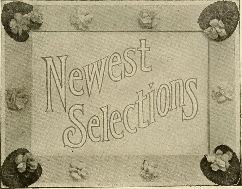 An illustration from Fairchild's rapid letterer and show-card maker, commercial alphabet construction with brush or pen, 1910, leaf 30