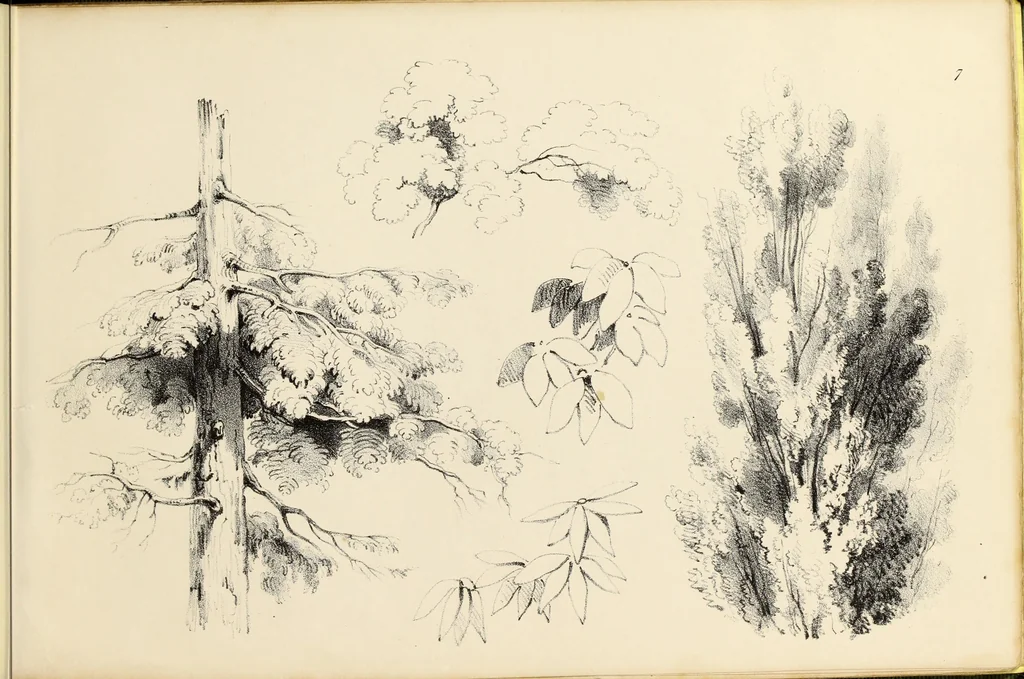 An illustration from Fairland's juvenile artist, or, Easy studies for beginners in drawing, of figures, animals, shipping, and landscape, 1838, leaf 19