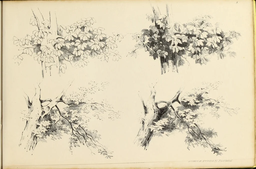An illustration from Fairland's juvenile artist, or, Easy studies for beginners in drawing, of figures, animals, shipping, and landscape, 1838, leaf 21
