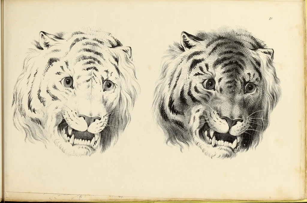 An illustration from Fairland's juvenile artist, or, Easy studies for beginners in drawing, of figures, animals, shipping, and landscape, 1838, leaf 41