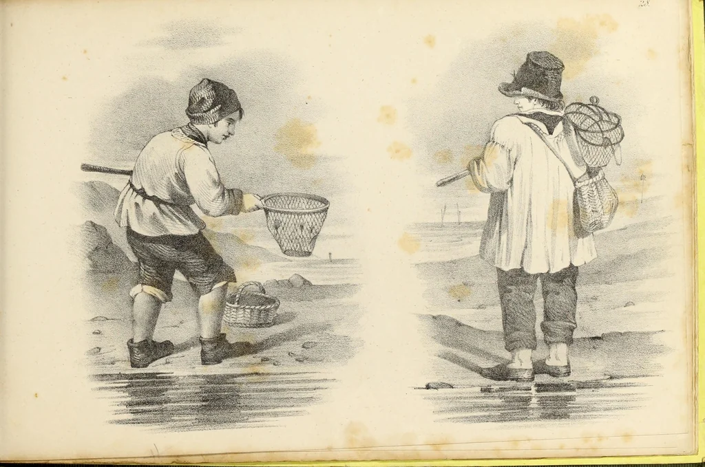 An illustration from Fairland's juvenile artist, or, Easy studies for beginners in drawing, of figures, animals, shipping, and landscape, 1838, leaf 61