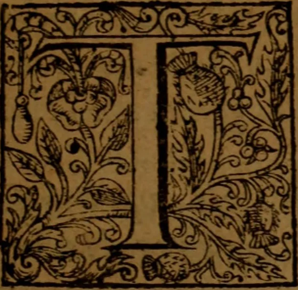 An illustration from The faithful shepheard : with The shepheards practise in preaching annexed thereunto .., 1609, leaf 14