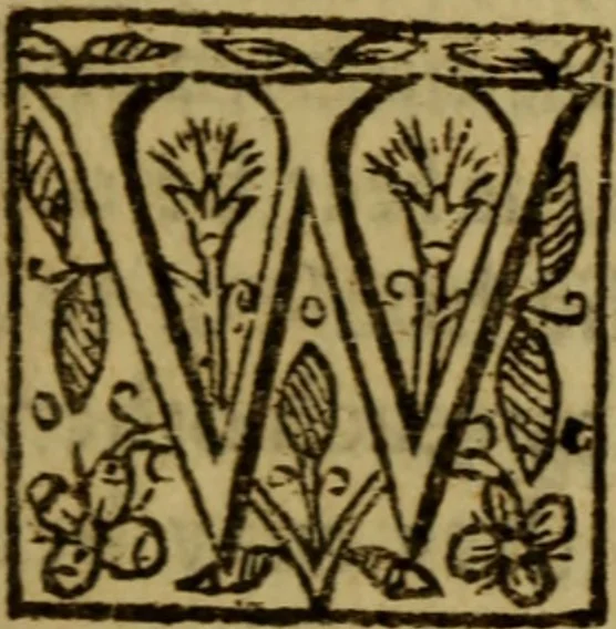 An illustration from The faithfull shepherd .., 1621, leaf 162