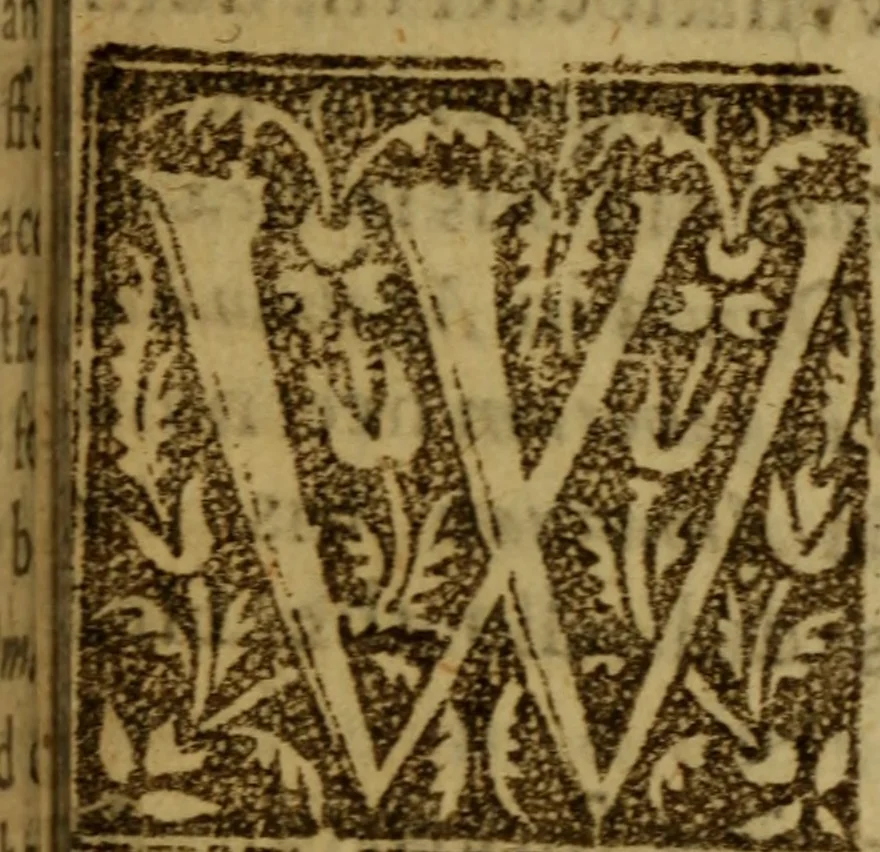 An illustration from The faithfull shepherd .., 1621, leaf 546