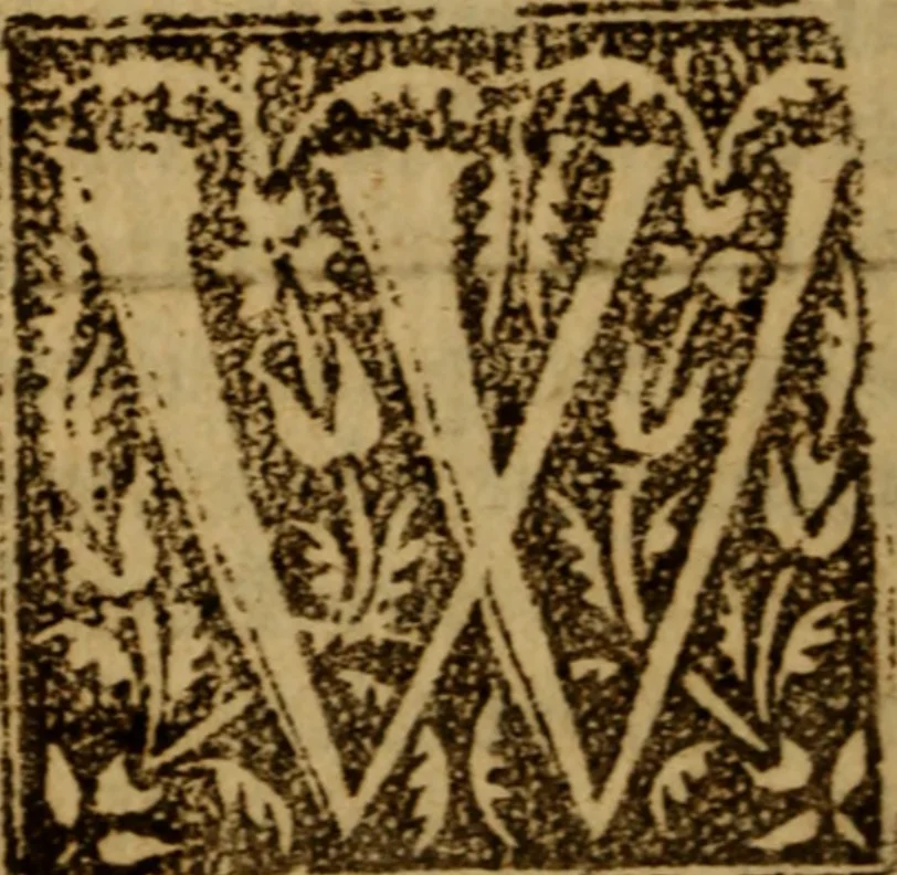 An illustration from The faithfull shepherd .., 1621, leaf 629