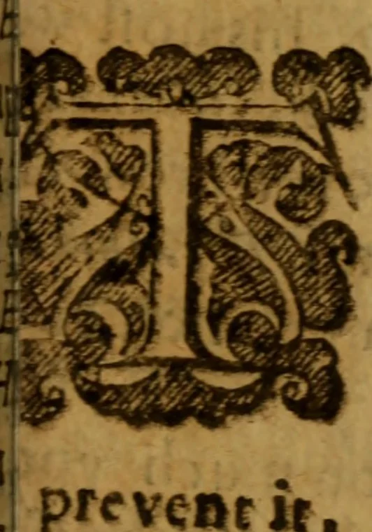 An illustration from The faithfull shepherd .., 1621, leaf 664