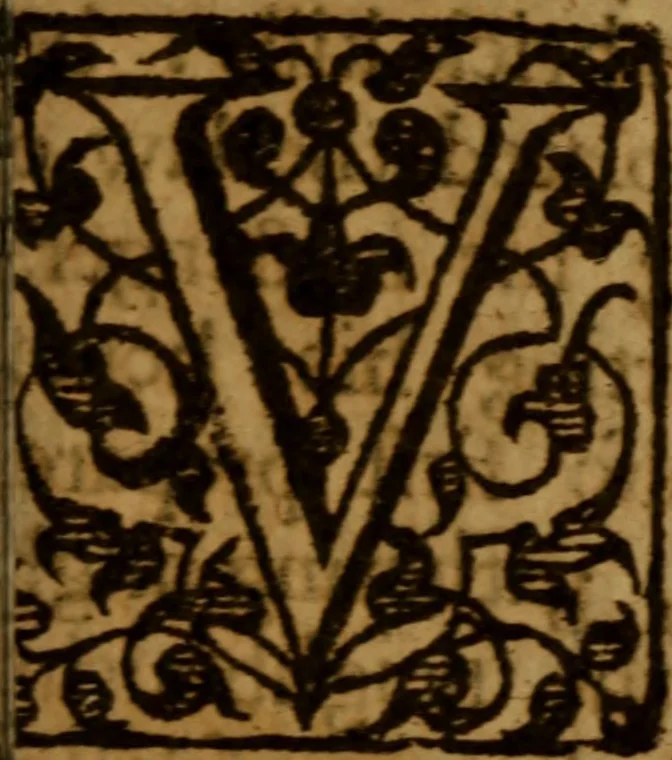 An illustration from The faithfull shepherd .., 1621, leaf 716