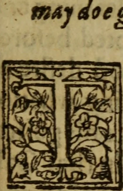 An illustration from The faithful shepherd .., 1621, leaf 124