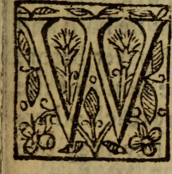 An illustration from The faithful shepherd .., 1621, leaf 166