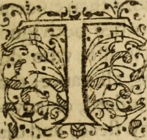 An illustration from A treatise of faith : wherein methodically is handled, the nature of true, saving, justifying faith, in opposition unto counterfeit .., 1654, leaf 192