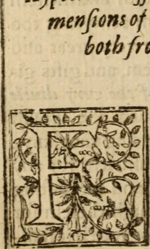 An illustration from A treatise of faith : wherein methodically is handled, the nature of true, saving, justifying faith, in opposition unto counterfeit .., 1654, leaf 203