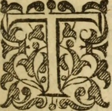 An illustration from A treatise of faith : wherein methodically is handled, the nature of true, saving, justifying faith, in opposition unto counterfeit .., 1654, leaf 212