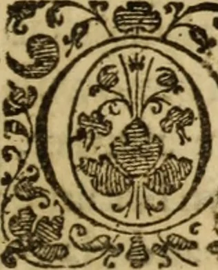 An illustration from A treatise of faith : wherein methodically is handled, the nature of true, saving, justifying faith, in opposition unto counterfeit .., 1654, leaf 228