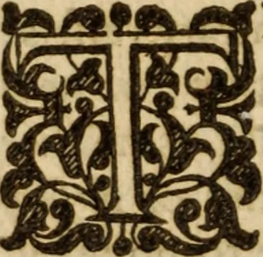 An illustration from A treatise of faith : wherein methodically is handled, the nature of true, saving, justifying faith, in opposition unto counterfeit .., 1654, leaf 265