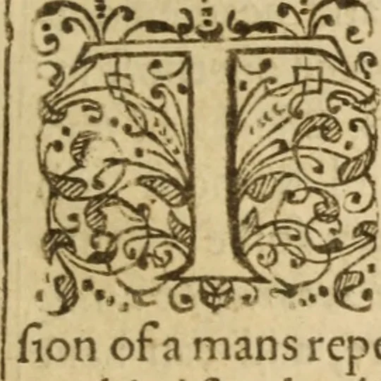 An illustration from A treatise of faith : wherein methodically is handled, the nature of true, saving, justifying faith, in opposition unto counterfeit .., 1654, leaf 294