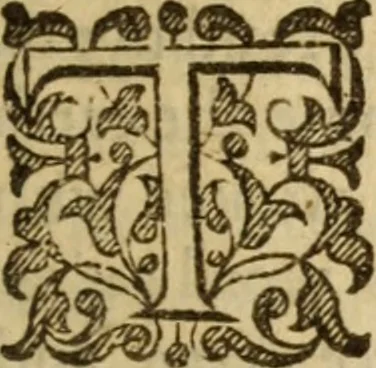 An illustration from A treatise of faith : wherein methodically is handled, the nature of true, saving, justifying faith, in opposition unto counterfeit .., 1654, leaf 306