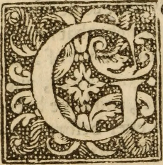 An illustration from A treatise of faith : wherein methodically is handled, the nature of true, saving, justifying faith, in opposition unto counterfeit .., 1654, leaf 317