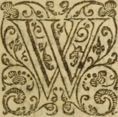 An illustration from A treatise of faith : wherein methodically is handled, the nature of true, saving, justifying faith, in opposition unto counterfeit .., 1654, leaf 50