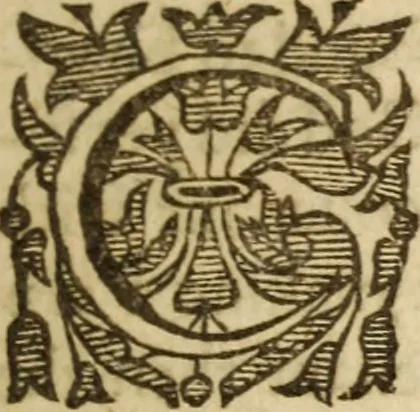An illustration from A treatise of faith : wherein methodically is handled, the nature of true, saving, justifying faith, in opposition unto counterfeit .., 1654, leaf 64