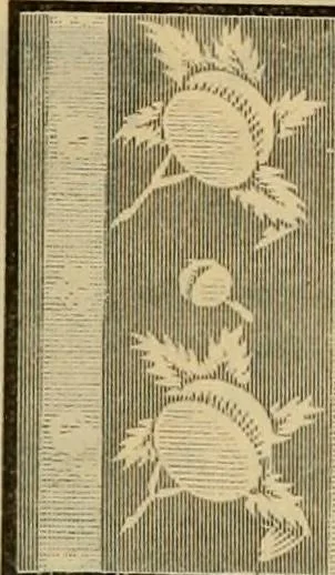 An illustration from Fall and Winter, 1890-91 Fashion Catalogue / H. O'Neill and Co., 1890, leaf 101