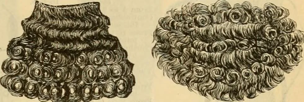 An illustration from Fall and Winter, 1890-91 Fashion Catalogue / H. O'Neill and Co., 1890, leaf 110