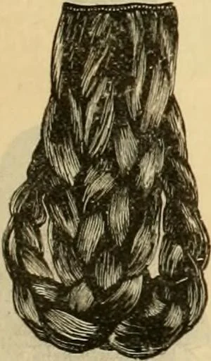 An illustration from Fall and Winter, 1890-91 Fashion Catalogue / H. O'Neill and Co., 1890, leaf 110
